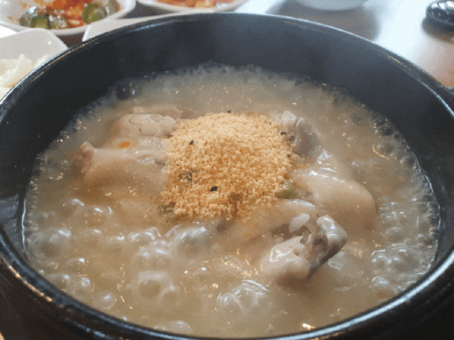  삼계탕 먹으러 1시간반!  금산 김정이원조 삼계탕!!