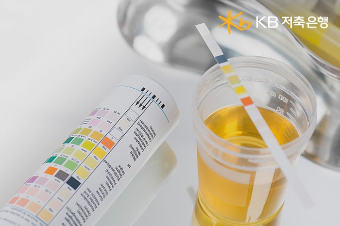 단백뇨 원인 및 증상과 치료 방법, 단백뇨에 좋은 음식은? : 네이버 블로그