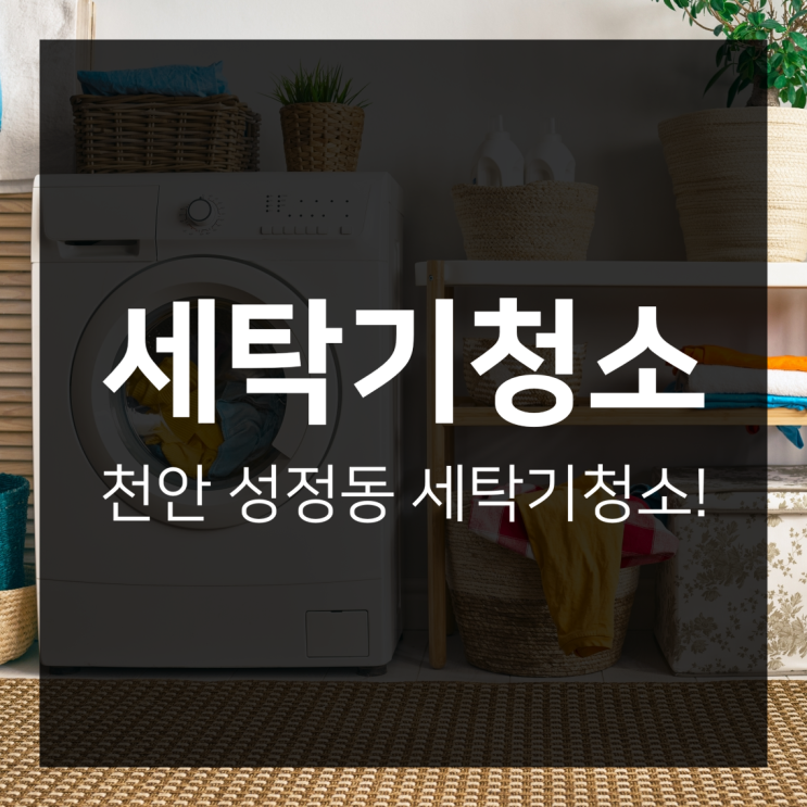  천안 성정동 세탁기청소 고민없이 초록케어!