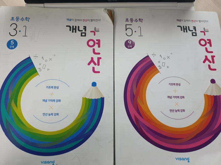  초등 개념,연산 수학문제집, 산책길에 본 꽃(이야 봄이다~) , 해독주스