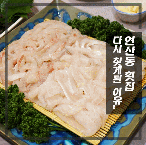 부산 연산동횟집 참가자미회  도다리쑥국 맛집에 빠지다!