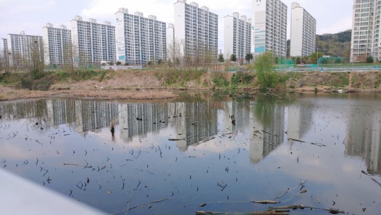  한적한 4월의 주말, 석적체육공원 주변, 사회적 거리두기 일상