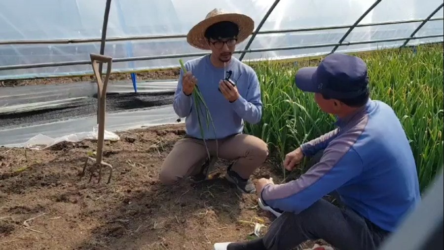 뒤안 사진 1