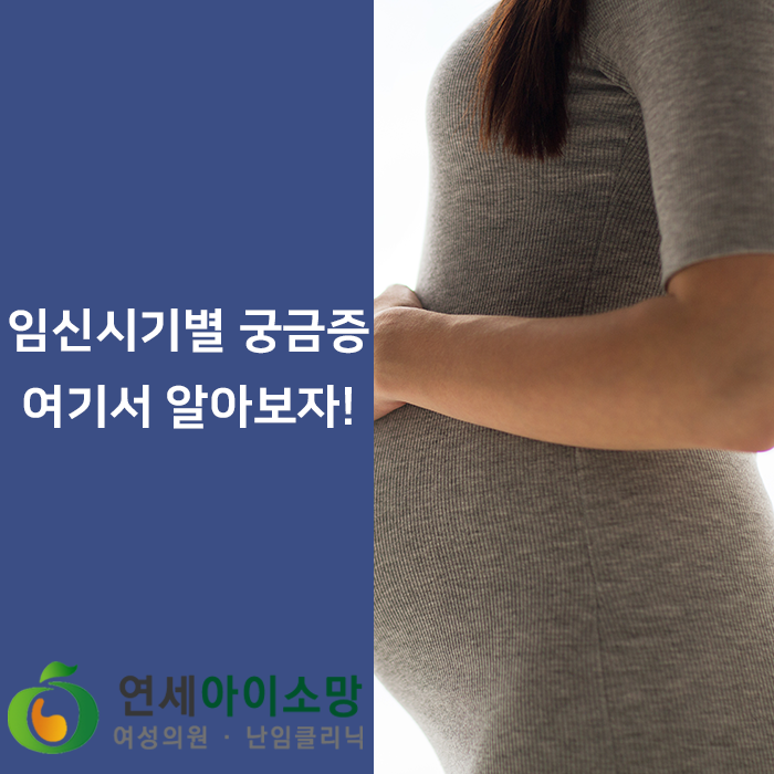  임산부가 알고 싶어 하는 임신시기별 궁금증
