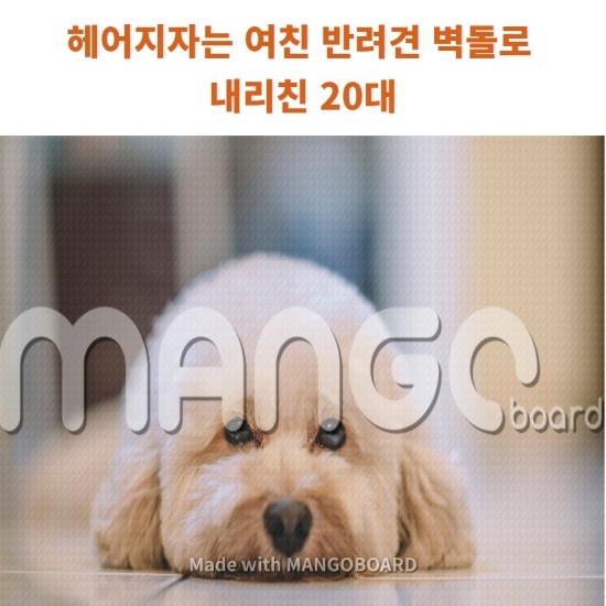  여자친구가 헤어지자하자 반려견을 벽돌로 내리친 20대 구속