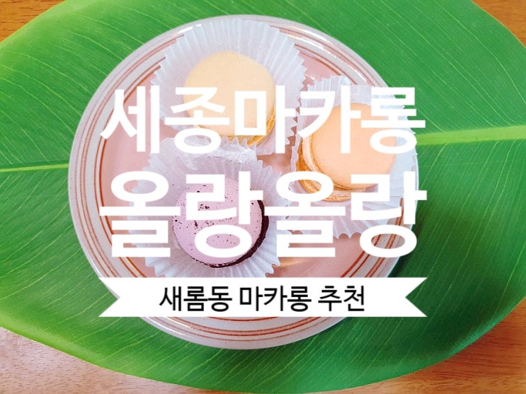  세종마카롱 올랑올랑 당충전이 필요할때 새롬동마카롱 추천