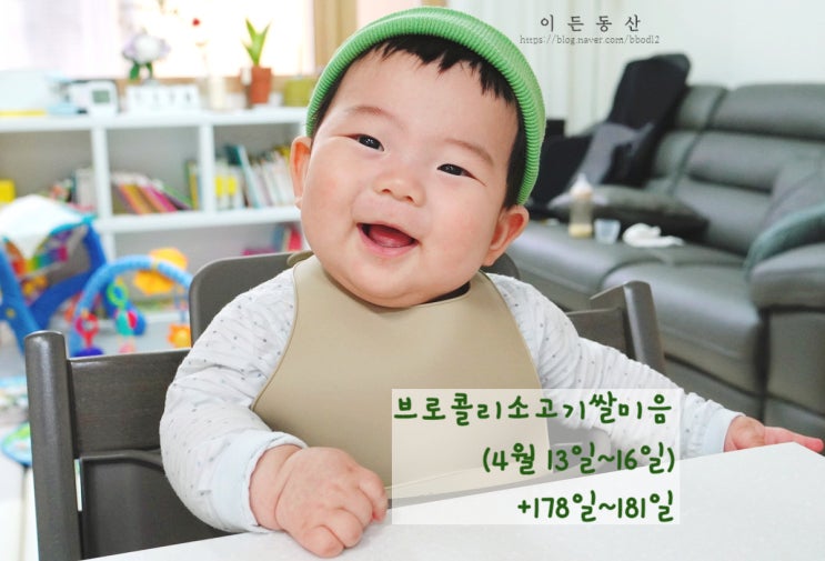  (+178~181일) 완모아기 브로콜리소고기미음 초기이유식 / 베이비무브이유식마스터기 (한살림 유기농 채소, 이유식용기 글라스락, 이유식스푼 데일리라이크 디자인앤쿠, 횡성축협한우)