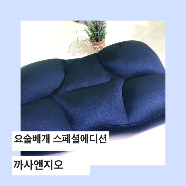  까사앤지오 요술베개 스페셜 에디션, 좋은 이유가 따로 있네요~
