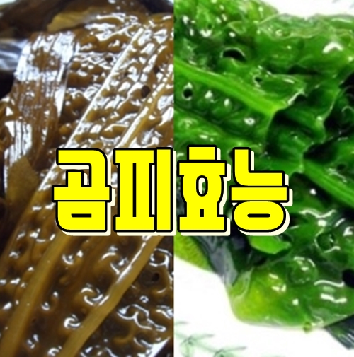  곰피·쇠미역 효능, 손질법 알려드려요.