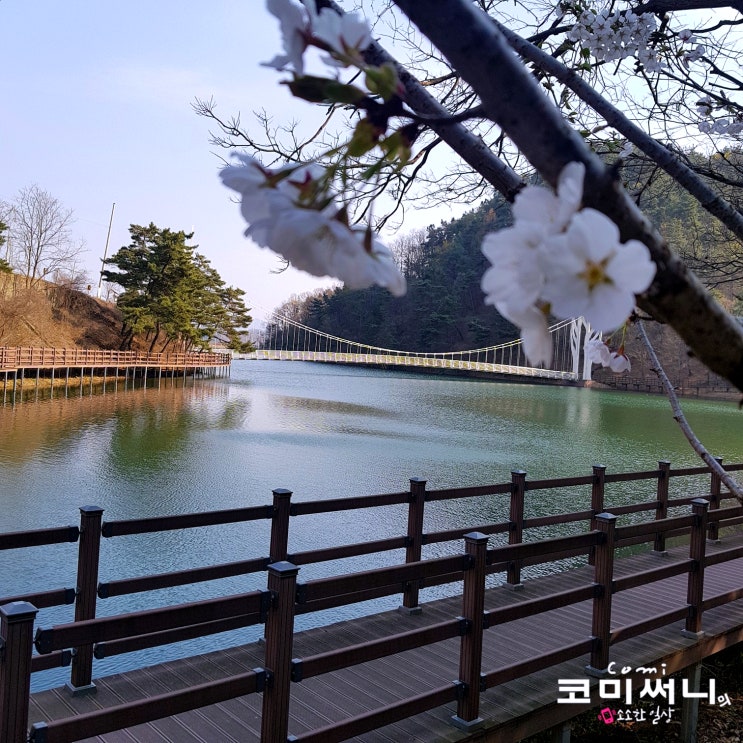 [충북 증평] 가볼 만한 곳 연암 지질 생태공원 힐링 스팟