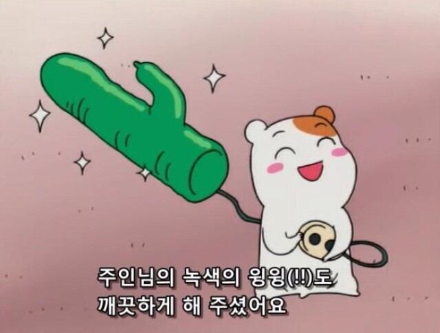  돈값 할 수가 없는 전립선 치료기