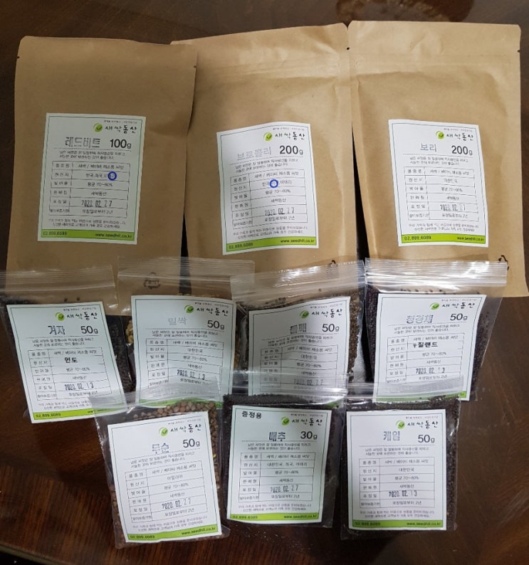  새싹채소 키우기. 아이스아메리카노통 재활용