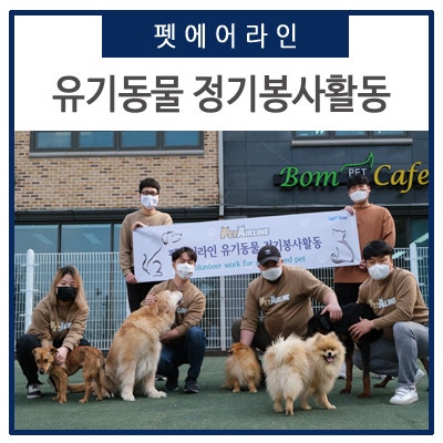 펫에어라인