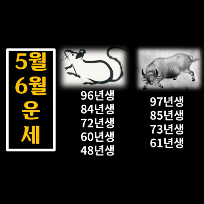  5,6월 쥐띠운세,소띠운세96년생쥐띠,84년생쥐띠,72년생쥐띠,60년생쥐띠,48년생쥐띠, 97년생소띠,85년생소띠,73년생소띠,61년생소띠
