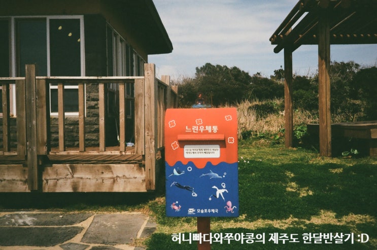  제주도 한달살이, 마라도 간김에 해물짜장면 맛집 갔다오기
