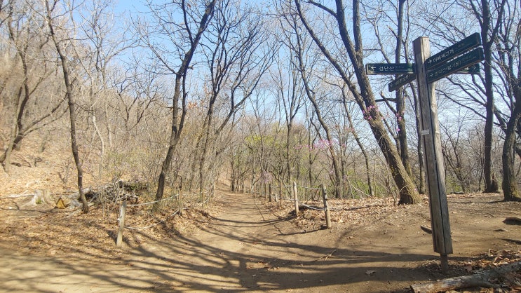 남한산성 얼레지 꽃 과 제2남옹성 아래 무덤가 묘지 근처 야생화들 남한산성 얼레지 꽃 과 제2남옹성 아래 무덤가 묘지 근처 야생화들