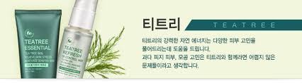  화장품성분 티트리 분석사용 - 지성피부 여드름진정 살균 무좀 티트리 주의사항