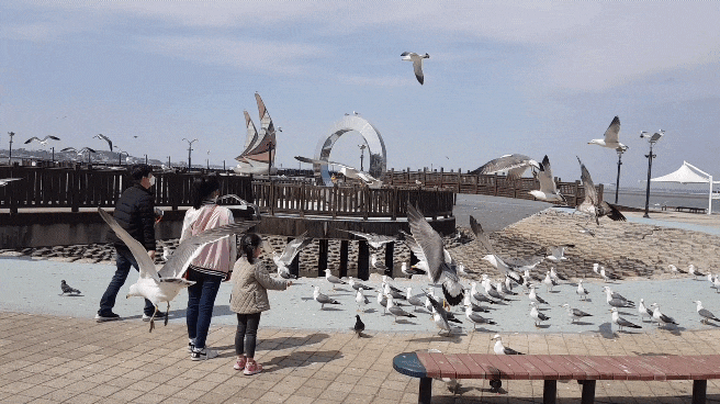  삽교호관광지 당진 아이들과가볼만한곳 만족도최고