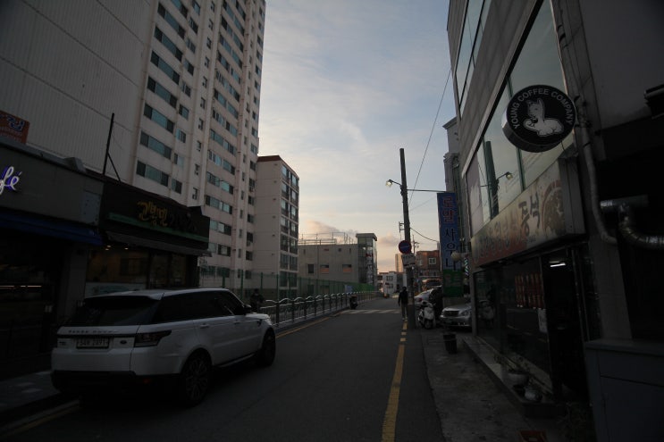  주말 같은 화요일입니다..내일 선거하러.