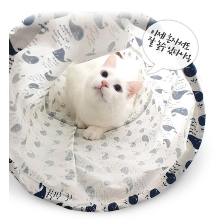 [강추] 특이한 고양이 장난감 터널 놀이터 S 고양이터널 선물, 1개 가격은?