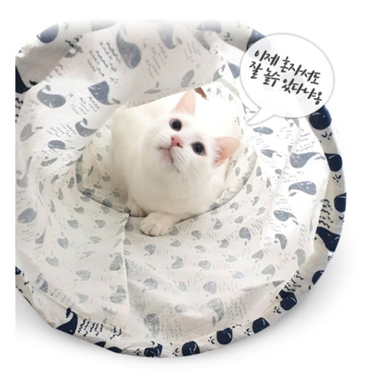 [강추] 특이한 고양이 장난감 터널 놀이터 S 고양이터널 선물, 1개 가격은?
