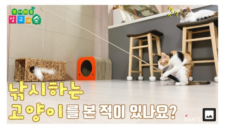  지안스캣 낚시하는 살구 꼭 한번 보세요~신기방기^^