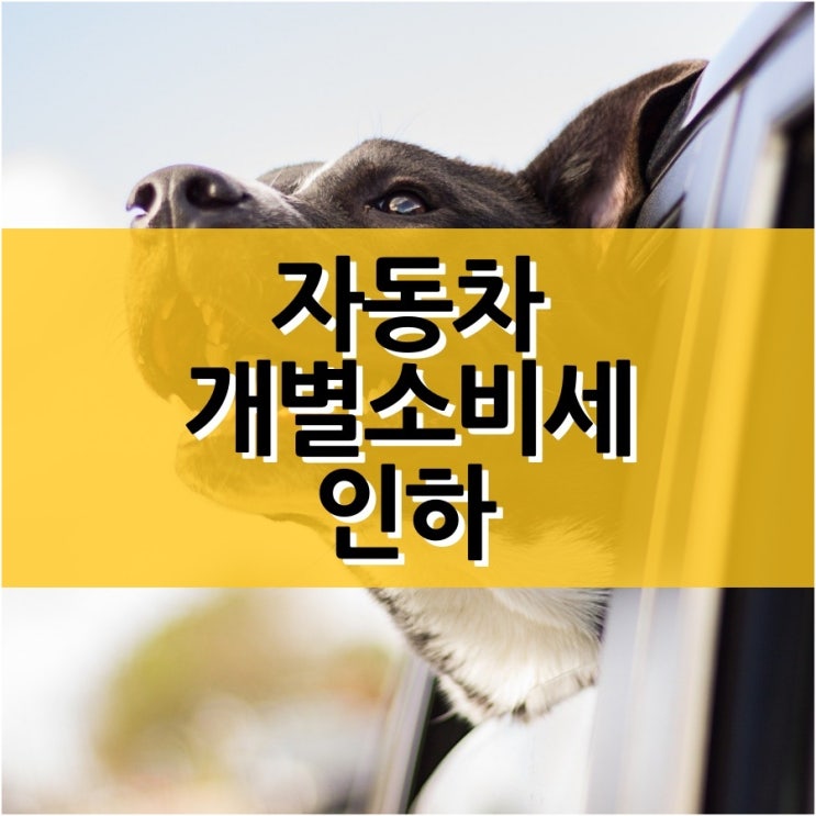  자동차 개별소비세 인하와 감면 혜택 정리
