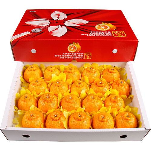 삼다몰 제주 한라봉 3kg 5kg 10kg, 1박스, 한라봉 (중) 5kg(19~23과) 추천해요 삼다몰 제주 한라봉 3kg 5kg 10kg, 1박스, 한라봉 (중) 5kg(19~23과) 추천해요