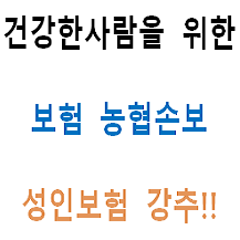  30대 40대 50대보험 4월은 농협손보만!!
