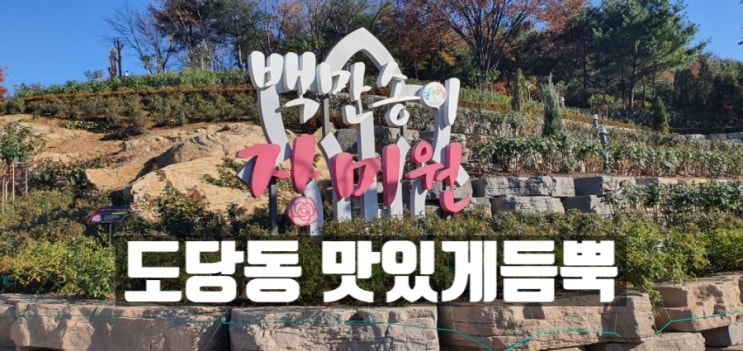 작년 2019년 11월 도당산 근린공원 백만송이장미공원 풍경