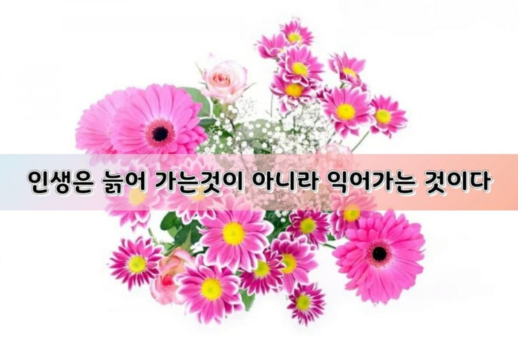 인생은 익어가는 거래요~ 인생은 익어가는 거래요~