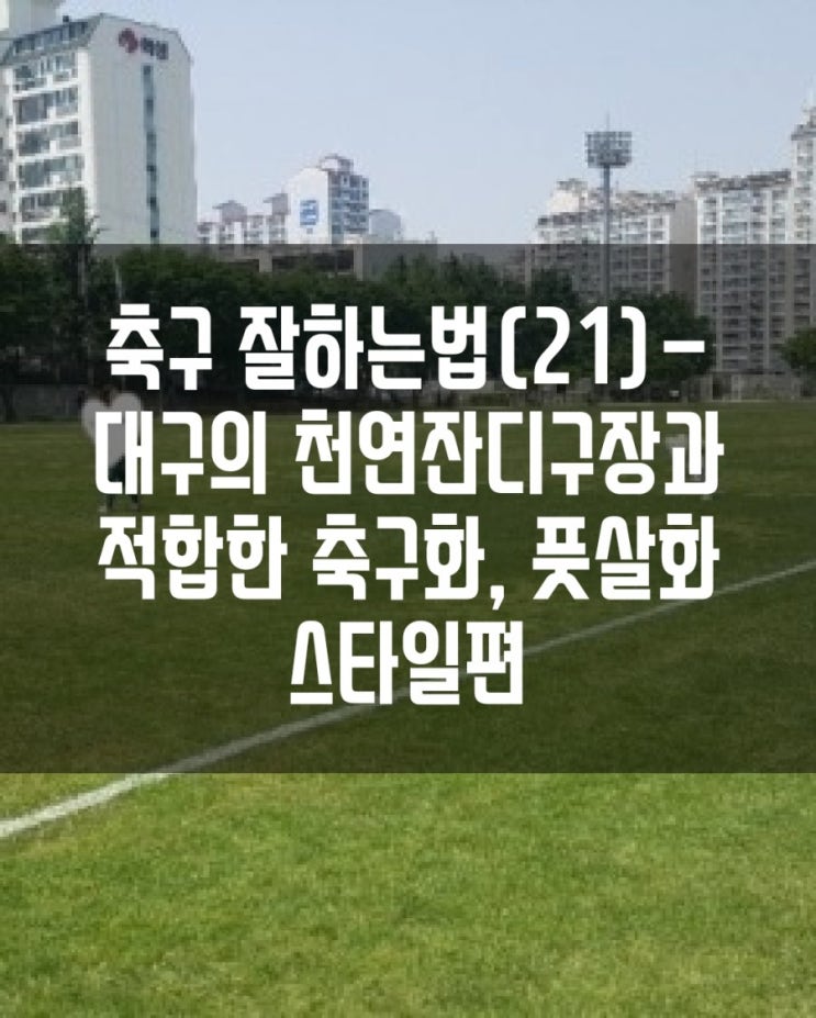  축구 잘 하는 법(21)- 대구의 천연잔디 구장과 적합한 축구화, 풋살화 스타일편