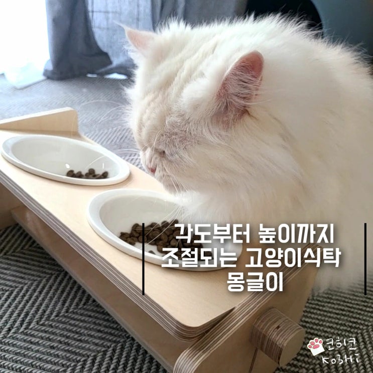고양이식탁] 높이부터 각도까지! 조절되는 신세계_ 몽글이 원목 식기, 고양이밥그릇
