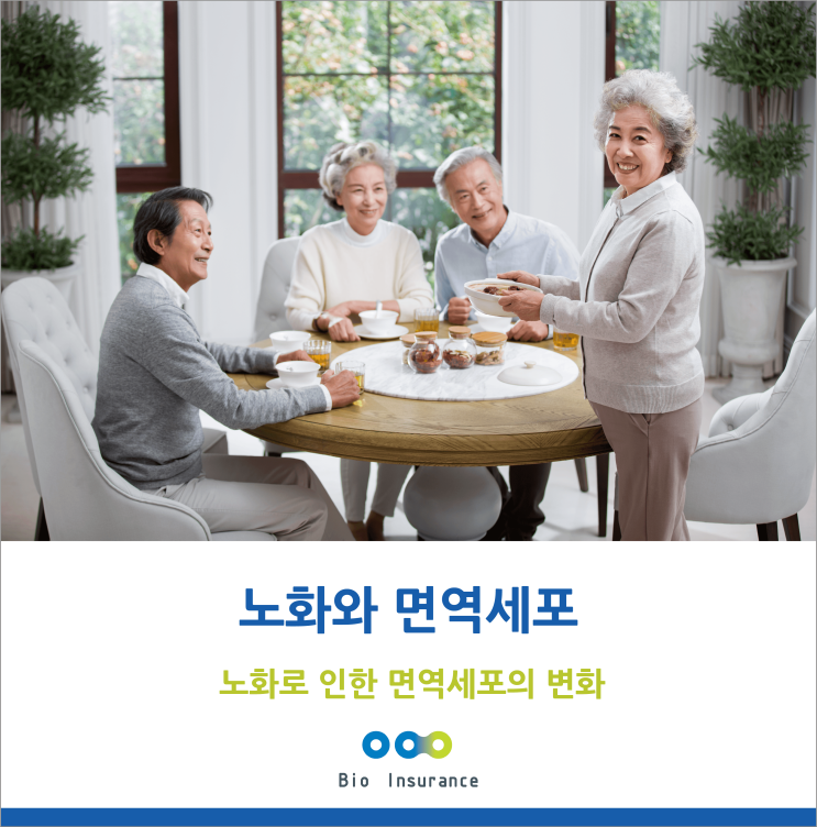  노화와 면역세포의 관계