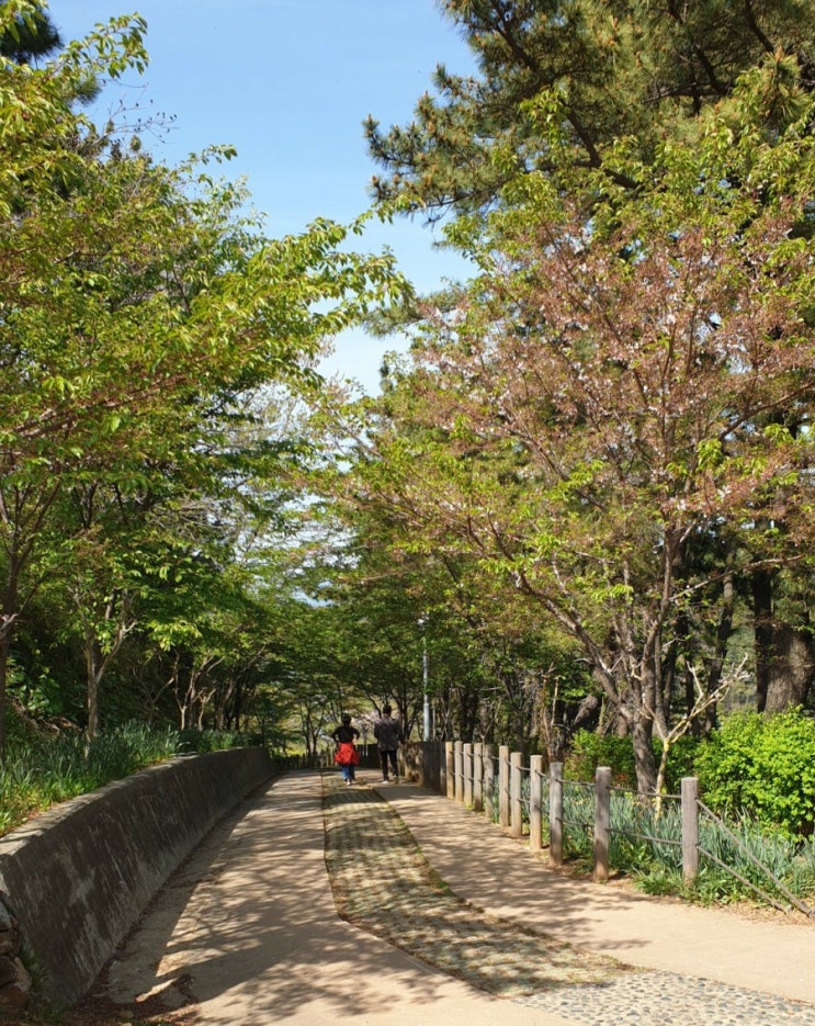 거제능포양지암 장미공원 봄 나들이