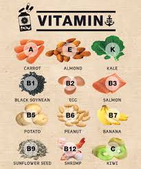 비타민에 대한 기본분석 1편 - 지용성비타민 A D E K 효능 결핍증 과잉증
