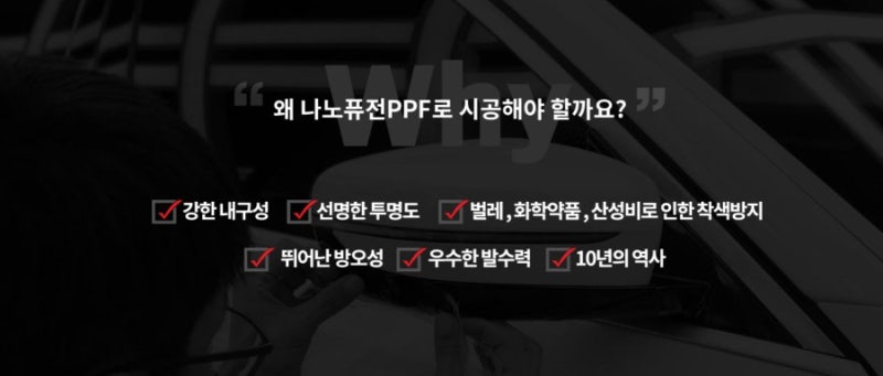 안성 원곡면 / PPF / 현대 / 쏘나타