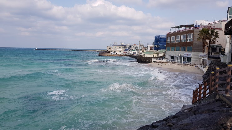  제주도여행의 감성코스 숙박지 제주도게스트하우스