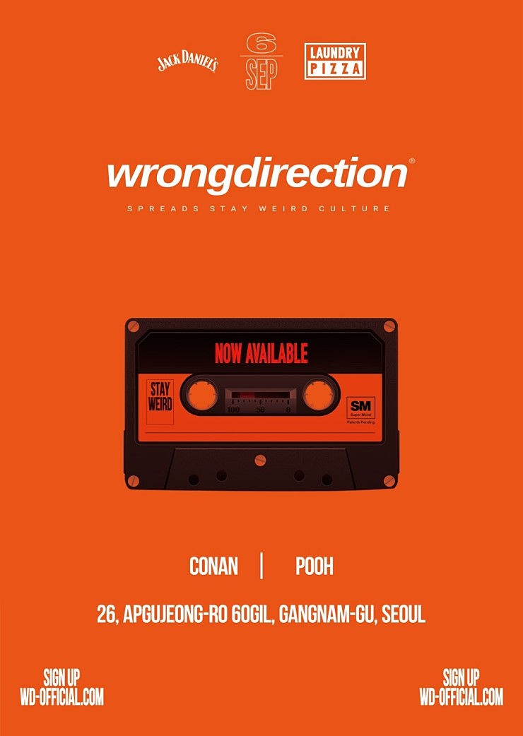  WRONG DIRECTION