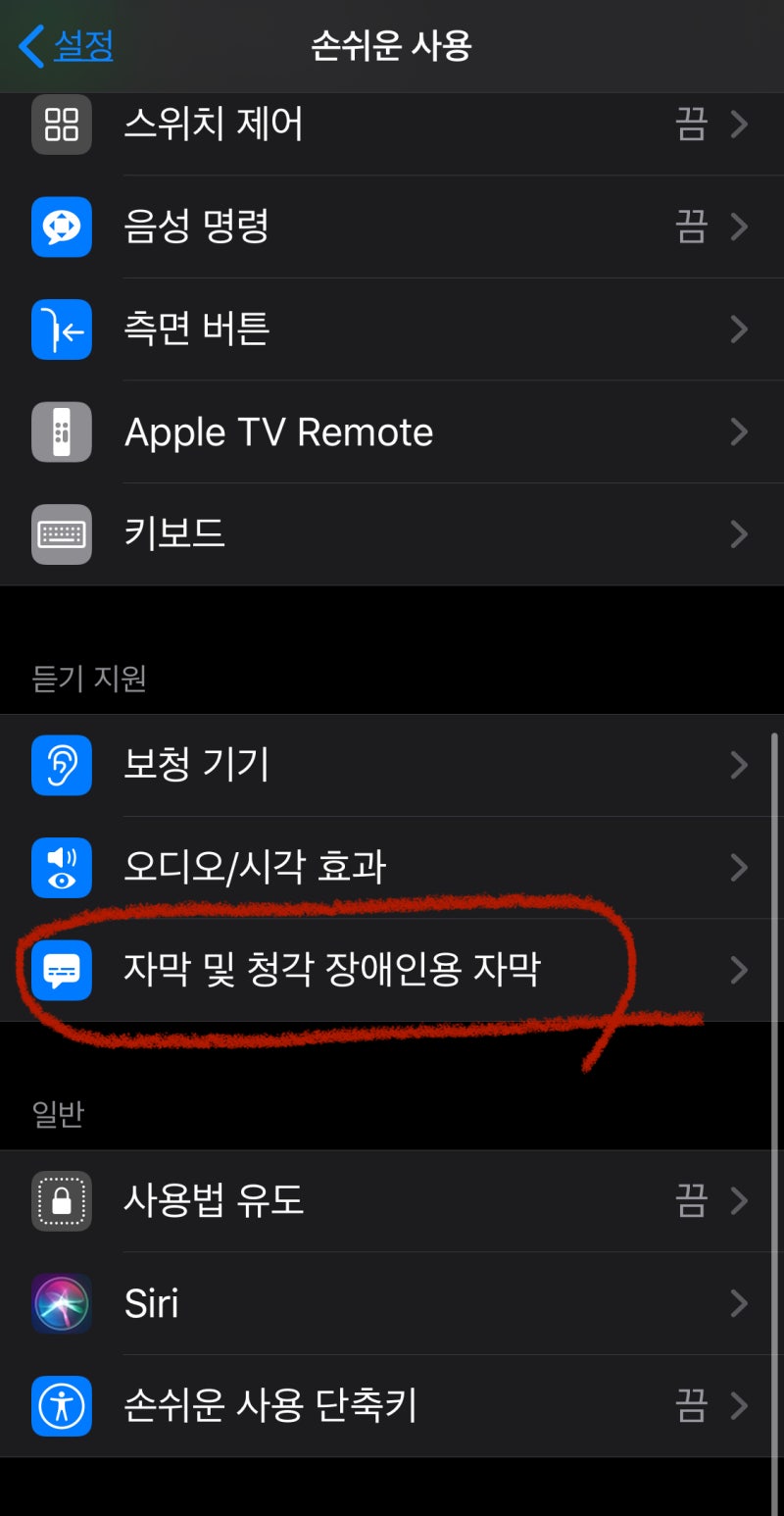 넷플릭스 자막 설정 크기 폰트 : 아이폰/아이패드 Ios 사용자 : 네이버 블로그
