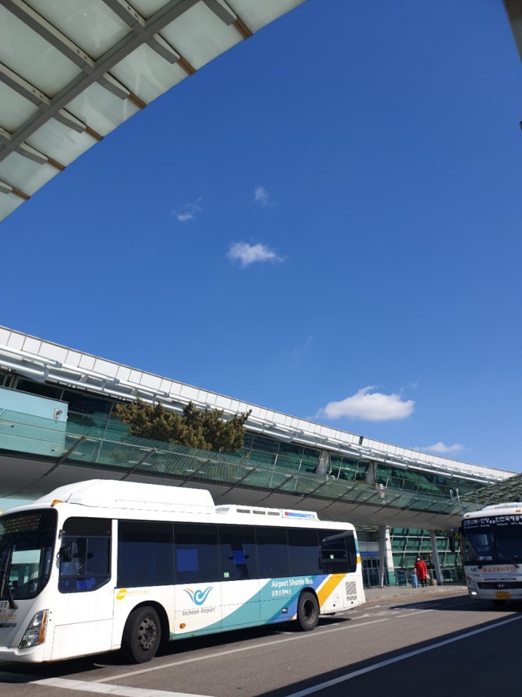  신혼여행 2탄(LA로 출국) : LA(2박3일)+ 로스카보스(4박5일)