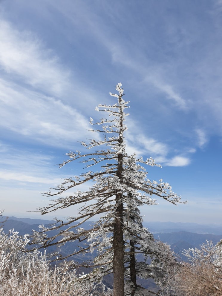 100대명산-30, 지리산 등산코스(지리산국립공윈중산리칼바위코스, 중산리탐방지원센터~칼바위~로타리대피소~천왕봉~제석봉~장터대피소) 첫번째 등산 이야기