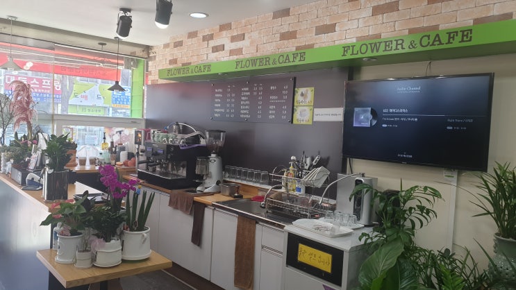  마산 산호동 버들피리플라워