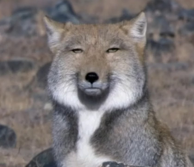  멍함. 잡생각.