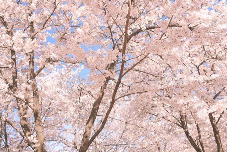 오버뷰필름 오버뷰필름