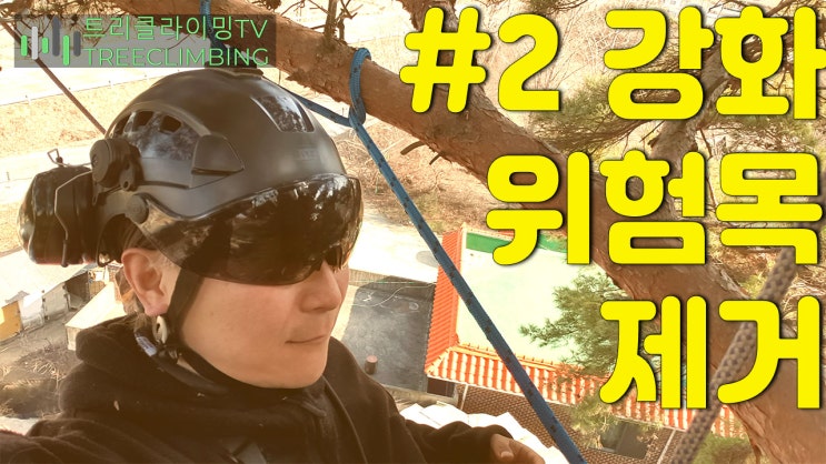  강화 수목관리와 위험목제거 2화 [트리클라이밍연구소]