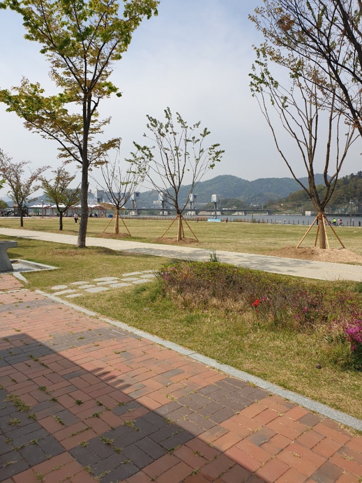  잠깐의 외출~칠곡보