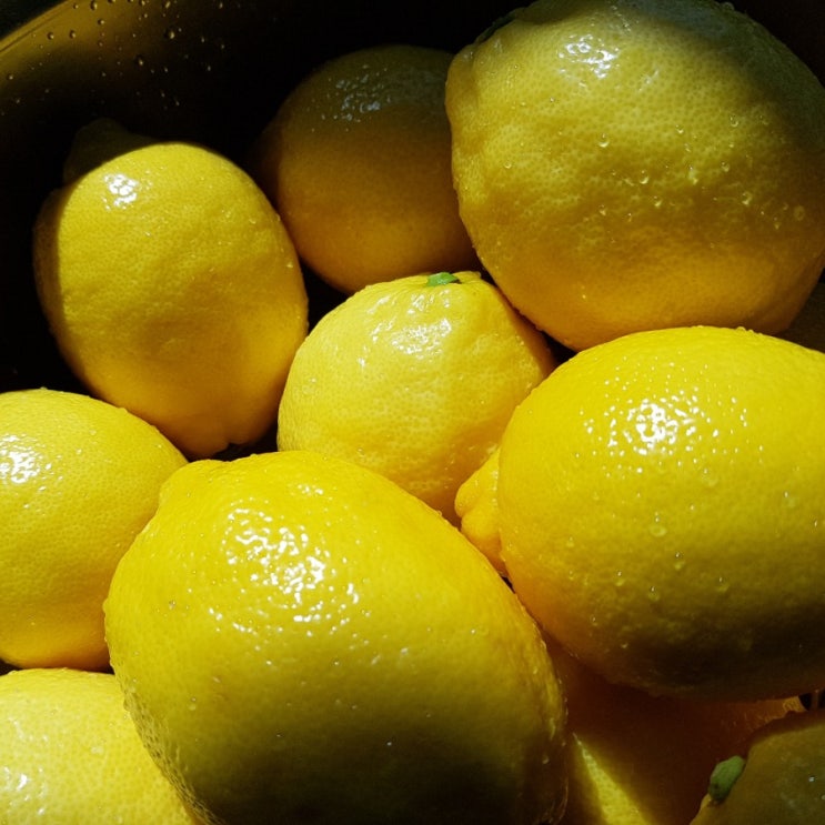 레몬청 만들기 레몬청 숙성기간 제주레몬으로 레몬청담아요