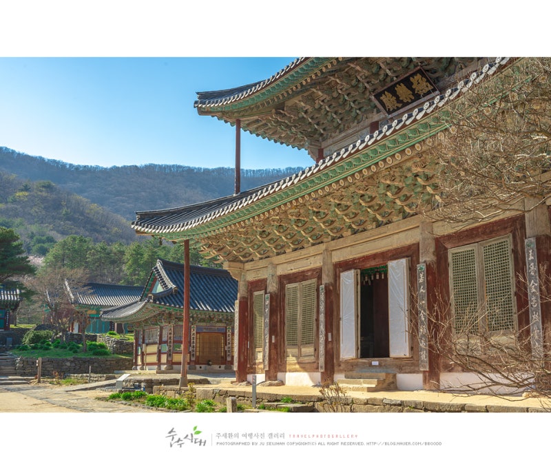 충남 부여 가볼만한곳 만수산 무량사 : 네이버 블로그