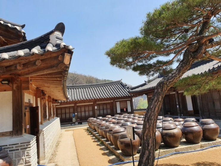  남한산성 낙선재 : 닭볶음탕, 해물파전. 너무 좋다!
